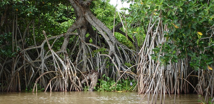 Reserva de la Biósfera Pantanos de Centla, Villahermosa