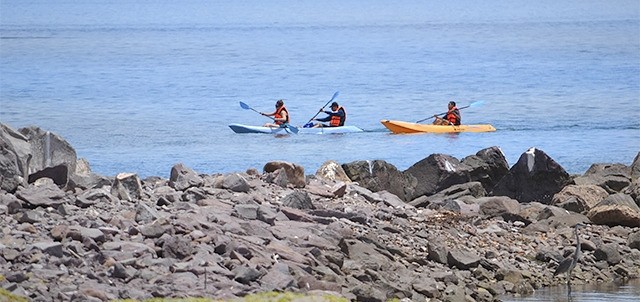Tours en Kayak, Loreto