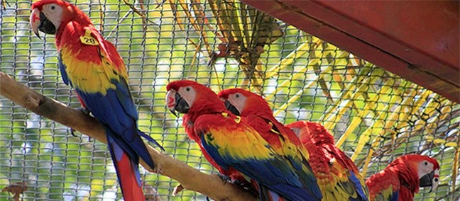 Reserva Ecológica La Otra Opción, Catemaco