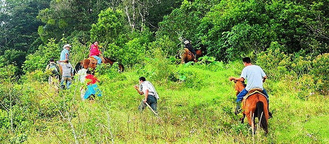 Reserva Ecológica La Otra Opción, Catemaco