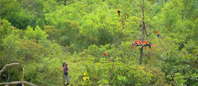 Reserva Ecológica La Otra Opción, Catemaco