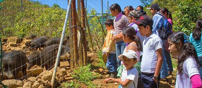 Reserva Ecológica La Otra Opción, Catemaco
