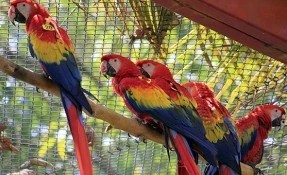 Reserva Ecológica La Otra Opción