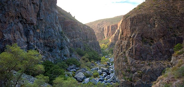 El Salto