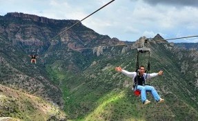 Zip Rider (Zipline)