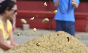 Tour a la Ruta del Café