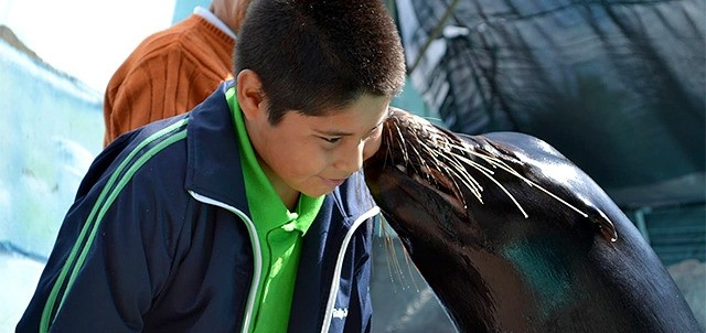 Parque Zoológico Benito Juárez, Morelia