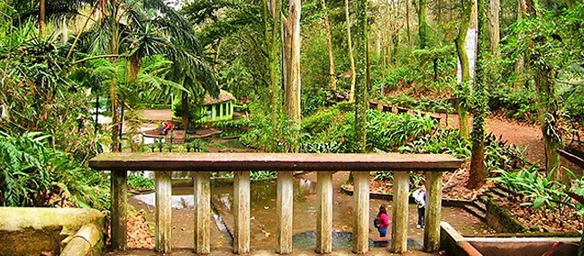 Parque Ecológico Macuiltépetl , Xalapa
