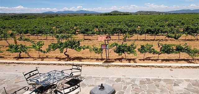Viñedos La Redonda, Ezequiel Montes