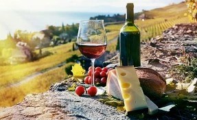 Route of Cheese and Wine