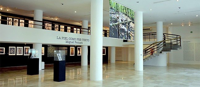 Pinacoteca Diego Rivera, Xalapa