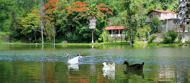 Guelatao de Juárez, Capulalpam