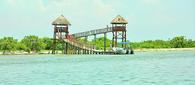 Isla Pájaros / Isla Morena, Holbox
