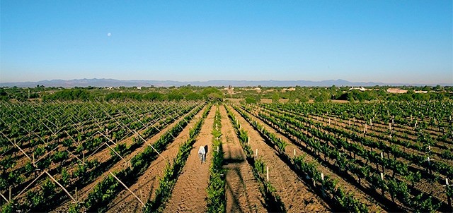 Cuna de Tierra, Dolores Hidalgo
