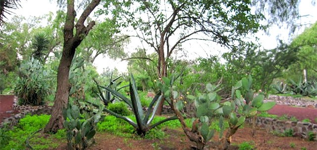 Jardín Botánico de Teotihuacán, Teotihuacán