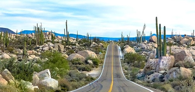 Valle de los Cirios, Cataviña