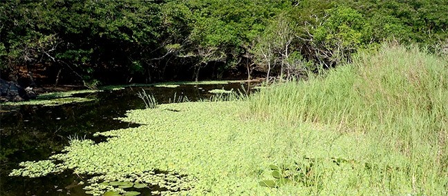 Senderos Sicaruu, Huatulco