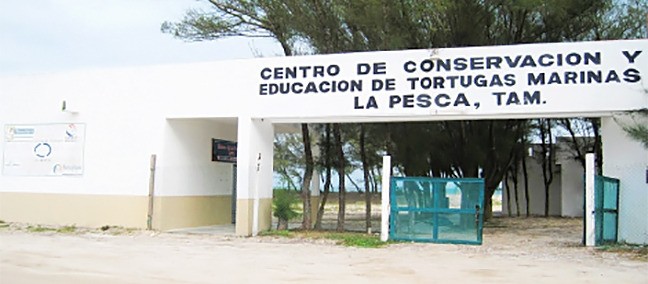 Liberación de Tortugas, La Pesca