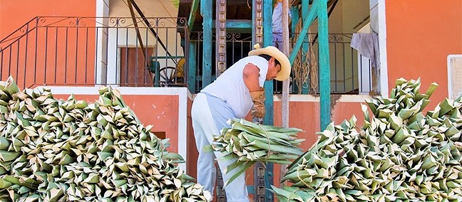 Tour del Henequén, Haciendas de Yucatán