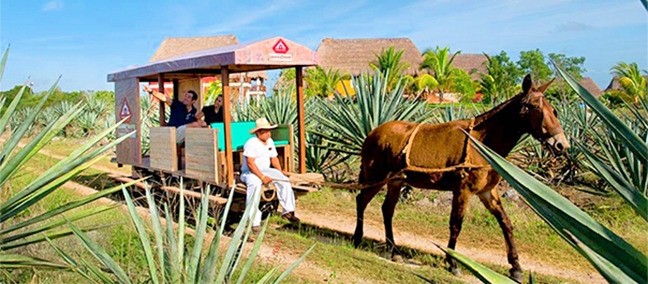 Tour del Henequén, Haciendas de Yucatán