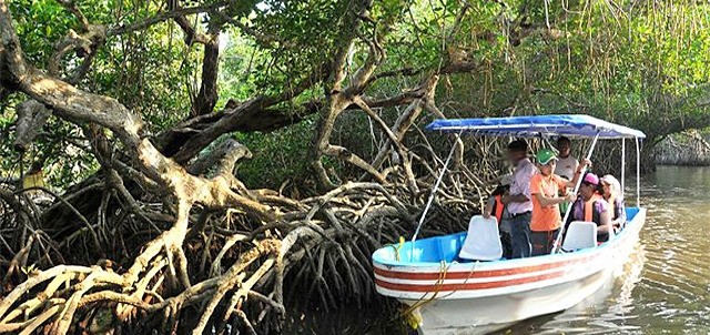 Laguna de Mandinga, Veracruz