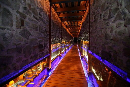 Los Secretos de Puebla, Puebla