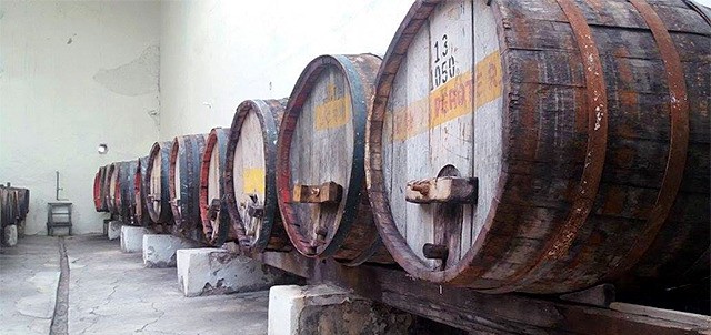 Casas Vinícolas, Parras de la Fuente