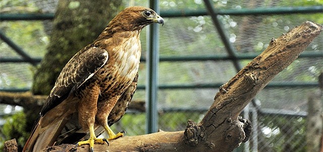 Paseo del Río y Reserva Animal, Orizaba