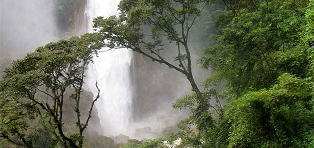 Rutas Turísticas, Zongolica