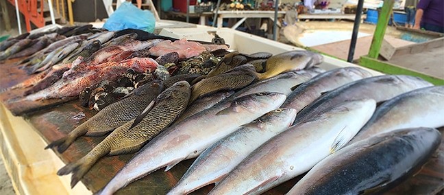 Popotla, Rosarito