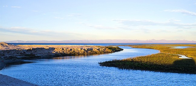 Reserva de la Biosfera El Vizcaíno, Vizcaíno