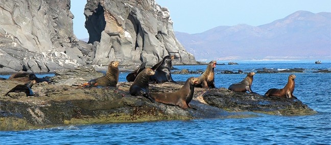 Parque Nacional Bahía de Loreto, Loreto
