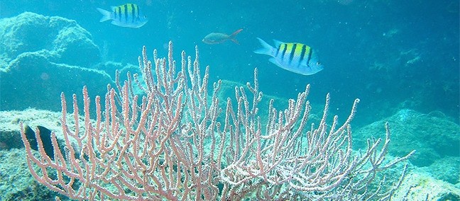 Parque Nacional Bahía de Loreto, Loreto