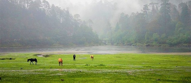 Parque Nacional Lagunas de Zempoala, Cuernavaca