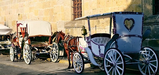 Paseo en Calandria, Guadalajara