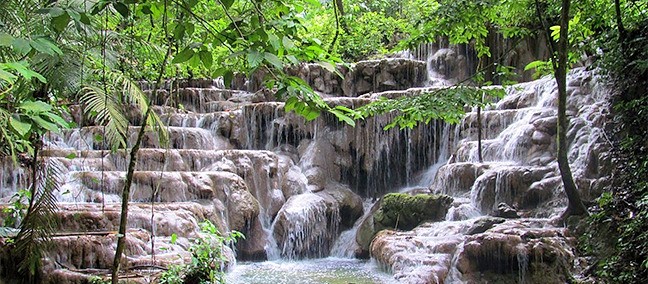 Parque Nacional Palenque, Palenque