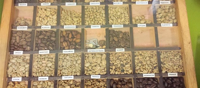 Museo del Café de Chiapas, Tuxtla Gutiérrez