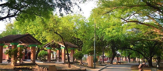 Parque Nacional El Sabinal, Cerralvo
