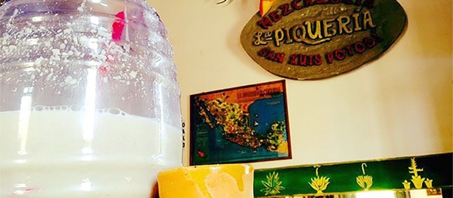 La Piquería Mezcalería, San Luis Potosí