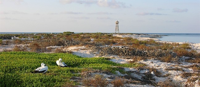Parque Nacional Arrecife Alacranes, Progreso