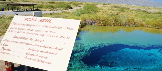 Poza Azul, Cuatro Ciénegas