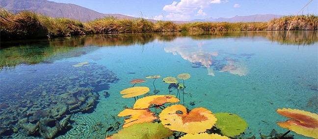 Poza Azul, Cuatro Ciénegas