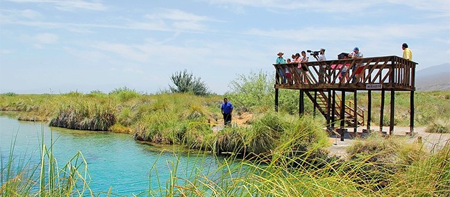 Poza Azul, Cuatro Ciénegas