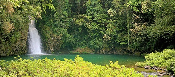 Poza Reyna, Catemaco