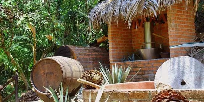 Nogalito Eco Park, Puerto Vallarta