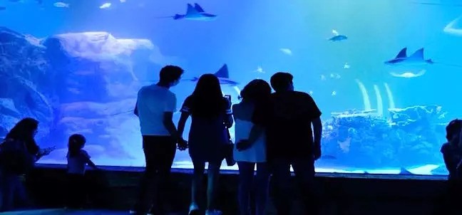 Acuario del Bajío, León