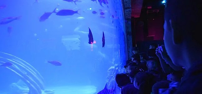 Acuario del Bajío, León
