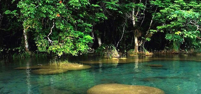 Laguna Miramar, Comitán