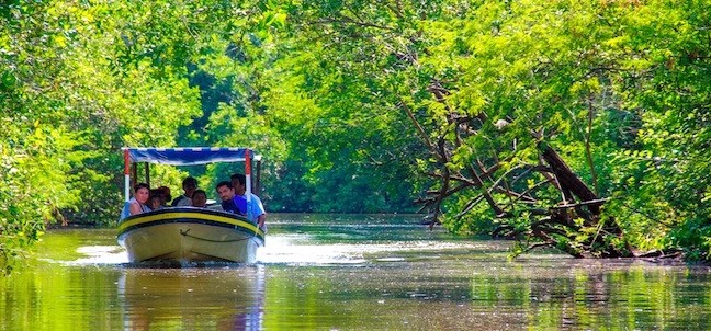 Laguna de Tres Palos, Acapulco