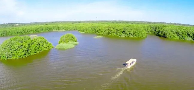 Laguna de Tres Palos, Acapulco